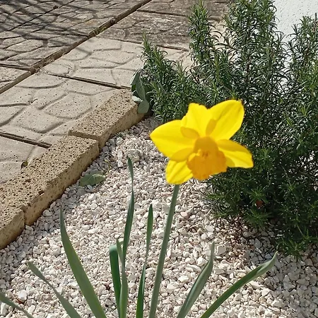 Alma 住宿加早餐酒店
